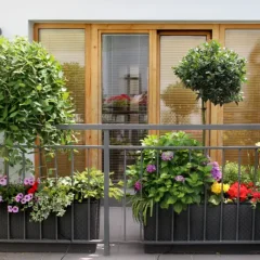 A Balcony Garden
